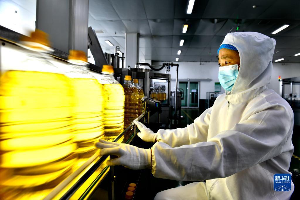 安卓捕鱼游戏有哪些